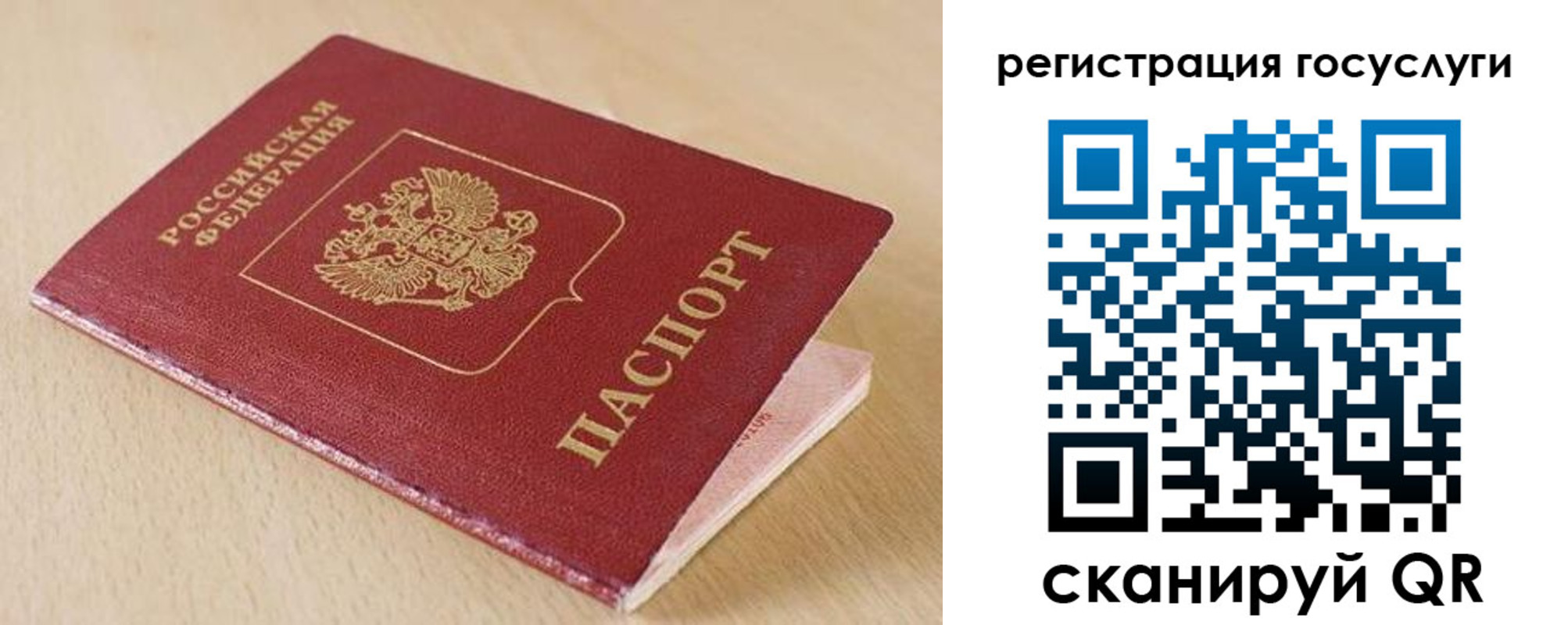 временная регистрация гарантия в Видном